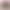 MAN Ziegler Reskue (ASA)